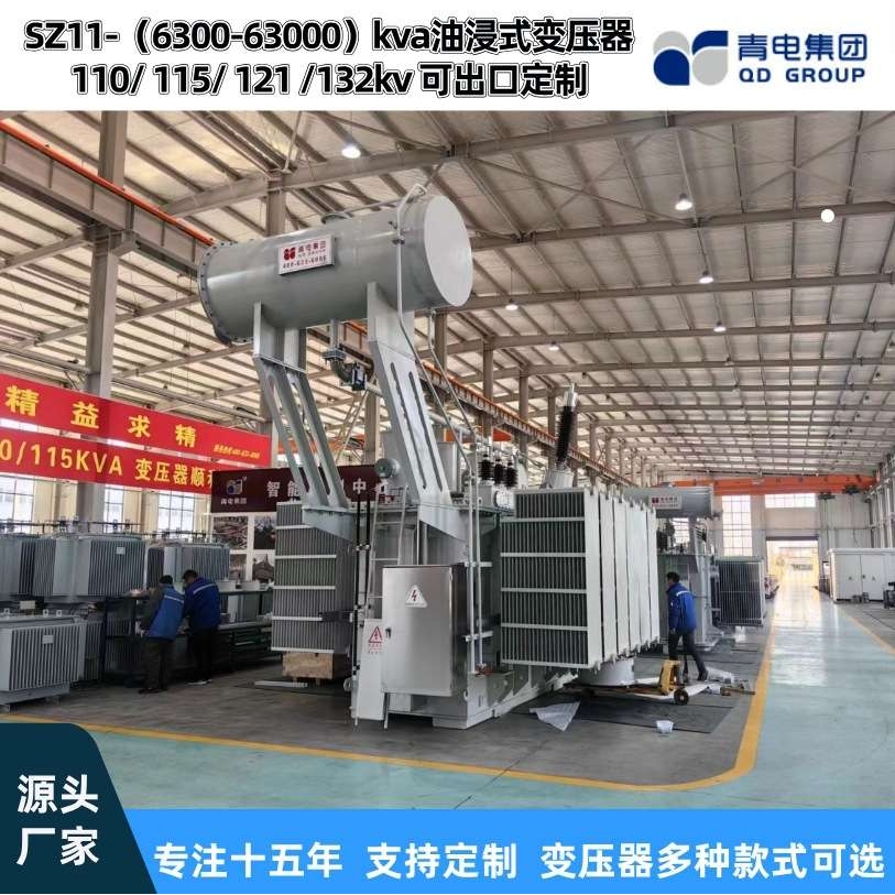 青电变压器厂  SZ20- 6300 25000 63000KVA/110kv油浸式主变压器