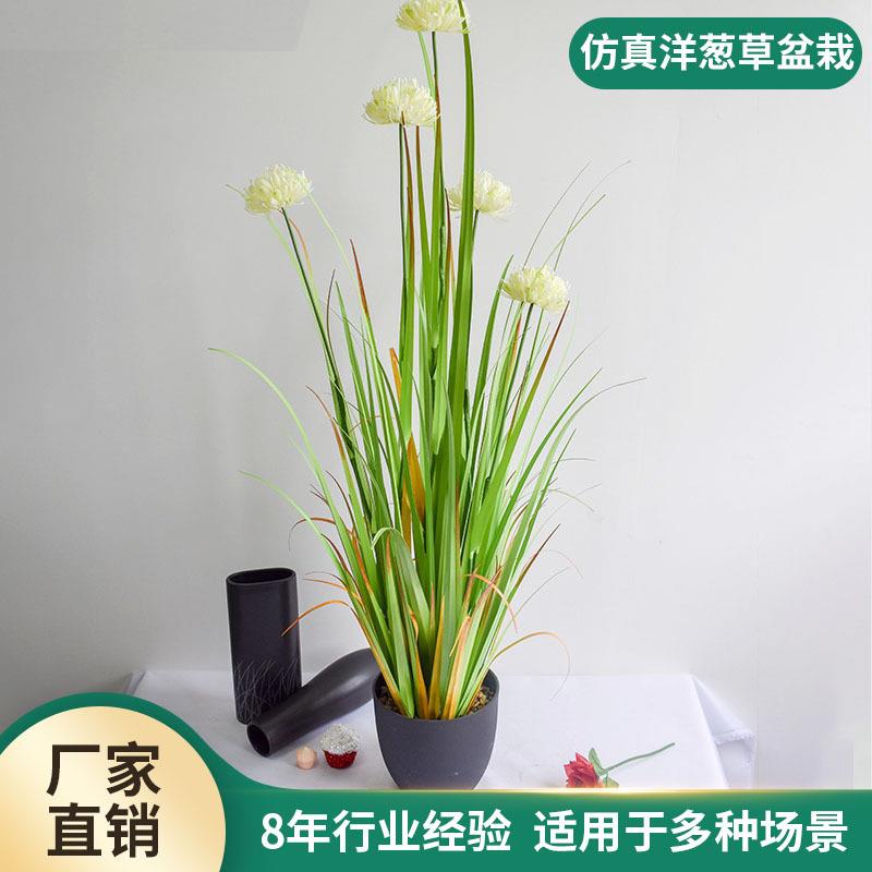 仿真芦苇草盆栽干花洋葱草狗尾巴草假花绿植摆件家居装饰绿植盆栽