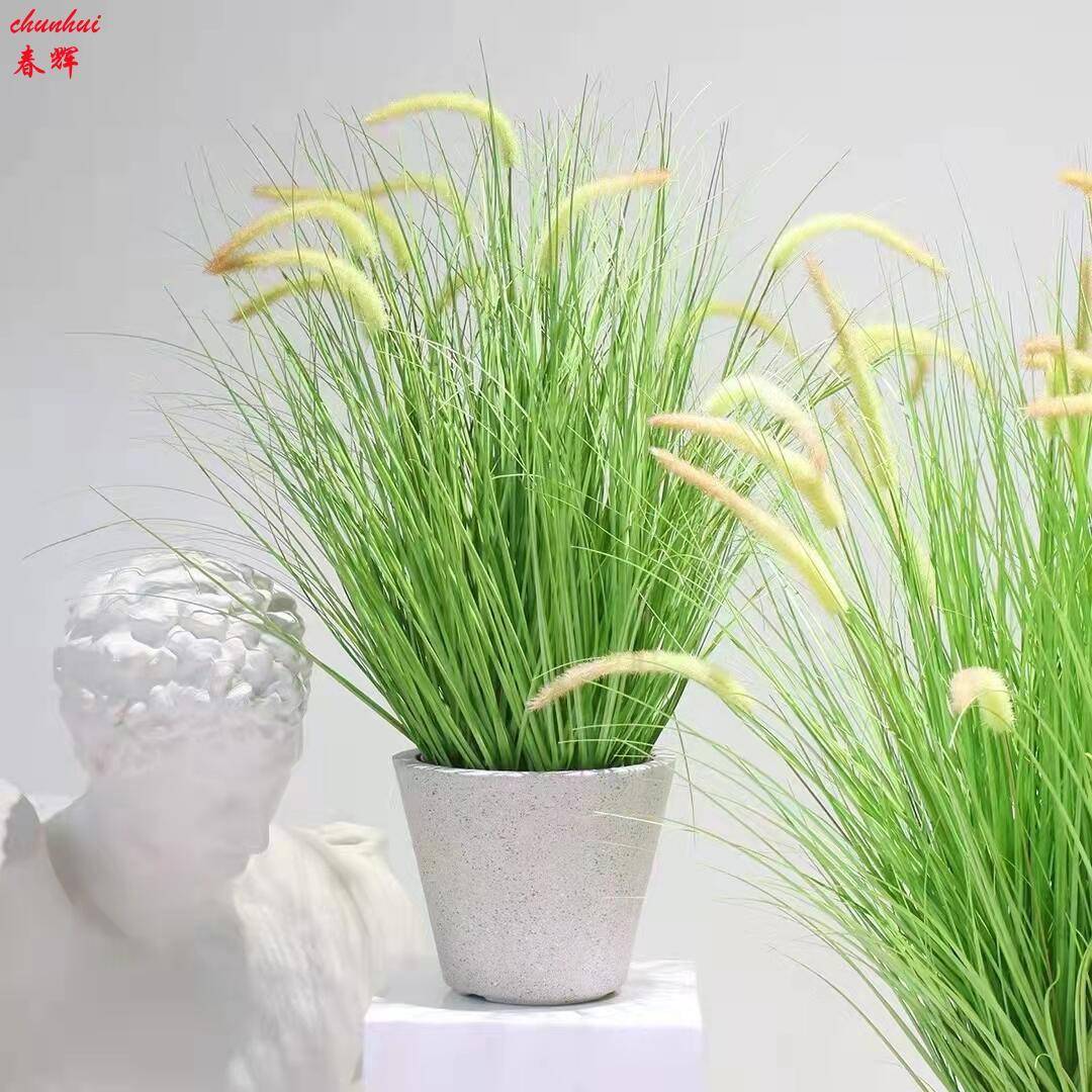 仿真芦苇蒲苇草盆栽婚庆家居装饰摆件狗尾巴草仿真干花落地摆件
