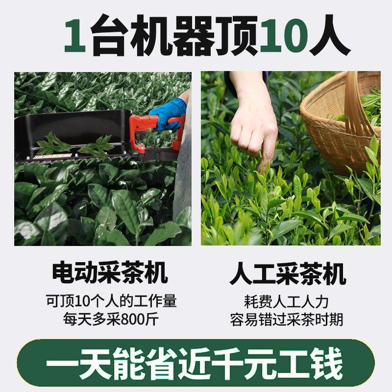 电动采茶机充电式大功率茶叶修剪机单人小型茶叶采剪机茶树摘茶机