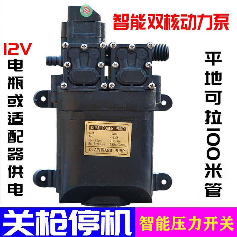 12伏智能水泵带压力开关12V关枪停机喷雾器洗车浇花果园撒农药水