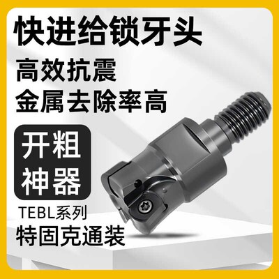 快进给锁牙头TEBL特固克BLMP06双面铣刀片开粗可换式螺纹铣刀头