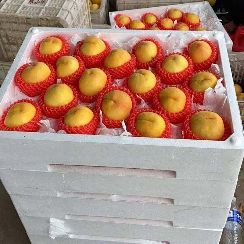 萄葡-枇杷沫托盘泡箱莓黄桃泡沫箱XBV托盘泡沫水蜜桃芒果水果周-