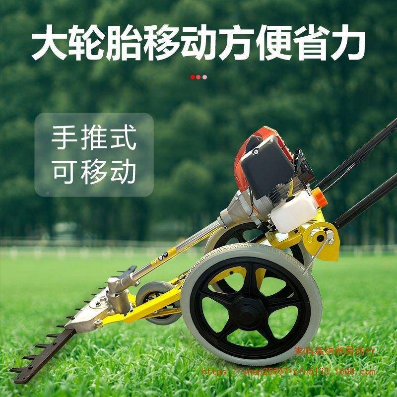 油机割草机手推式汽油修剪多机除草剪机WTN小汽型手推功能修草坪