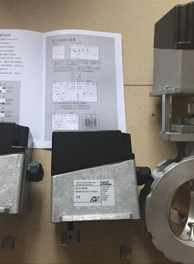 GT31-60T3E电动执行器GT31-30T3E.AT31-60T3E