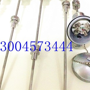 WZPK 326S L=300 铠装 1.5活动螺纹 热电阻 M16 仿日接线盒 式