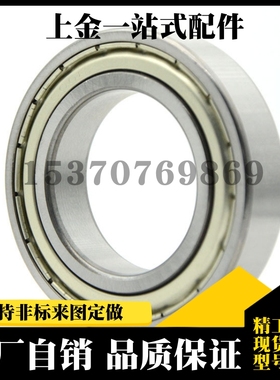 深沟球轴承 BAY6000 6001 6002 6003 6004 6005 6006 ZZ -J -SUS