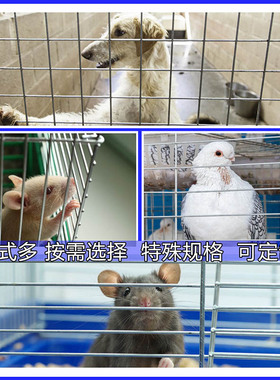 镀锌电焊网片铁丝网组装加粗笼子户外养殖小孔加密钢丝隔离防护网