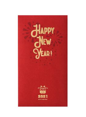 2021牛年高档立体新年红包 个性创意春节过年压岁大红包袋利是封