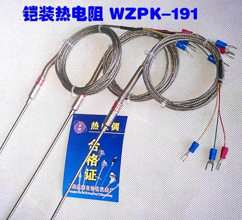 进口PT100铠装热电阻/WZPK-191/针形热电阻/探针热电阻/可订做
