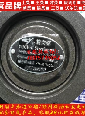 玉柴发动机原厂配件YC4EYC4110助力泵E24L1转向泵/转向机