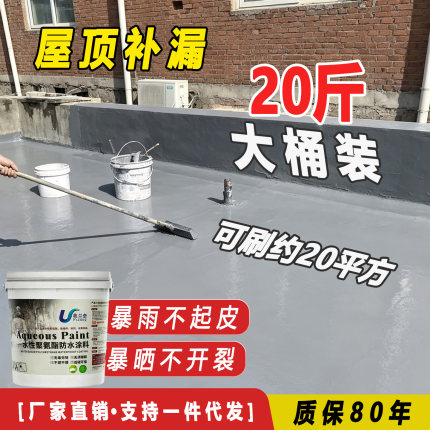 防水涂料屋顶裂缝渗水补漏材料房顶外墙漏水防水材料楼顶防水胶