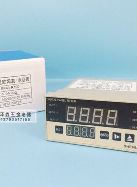 SHENLAN深蓝仪表 SP43-R100 R10M R1KW SP5-R100S欧姆表/电阻表
