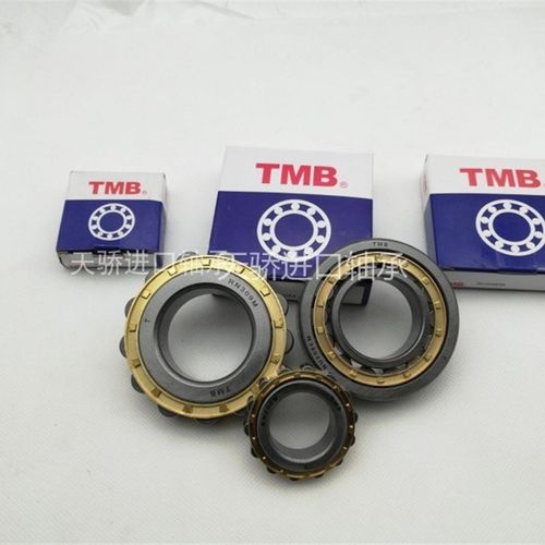 国产减速机轴承 RN205 RN206 RN307M RN308 RN309M RN312M