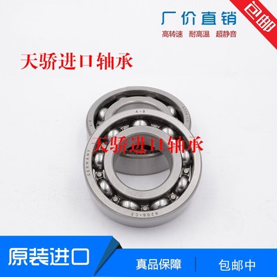 德国进口轴承16001 16002 16003 16004 16005 16006  16007 C3