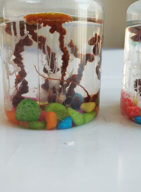 水中花园趣味儿童益智手工科学实验套装幼儿园小学生启蒙DIY材料