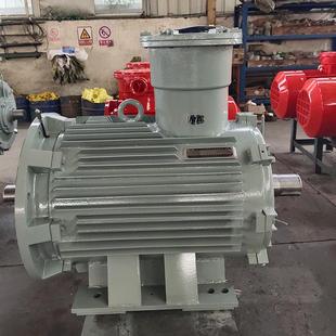YB3 4防爆电机煤矿采掘面用厂家直接发货 225S