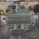 55W卧式 防爆电机南洋电机厂供应 250M YB3