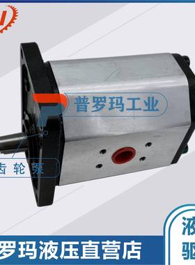 液压齿轮泵P1BAN3080HL10B03N可做国产代替