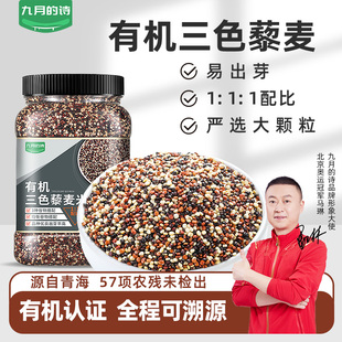 九月的诗青海有机三色藜麦米五谷粗粮杂粮健身代餐主食900g罐装
