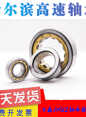 哈尔滨轴承RN/N/NJ/NU/304 305 306 307 308 309 310 311 312/EM