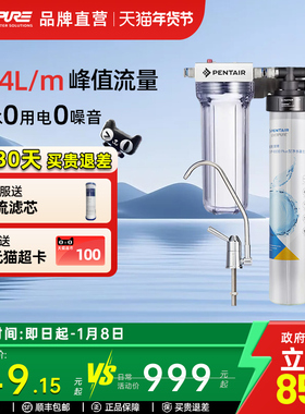 【政府补贴】爱惠浦品牌直营家用净水器厨房矿物质水过滤机EF900P