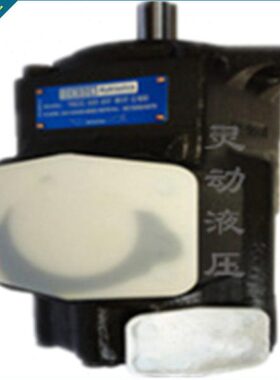 法国丹尼逊原装叶片泵 T6D 017/020/024/028/031/035/0381R01 B1