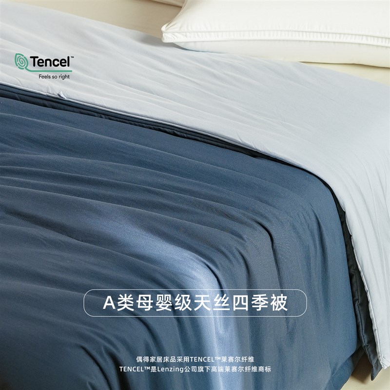 A类母婴级天丝四季被子 双层x可机洗0压感吸湿空调被 可拆卸免被