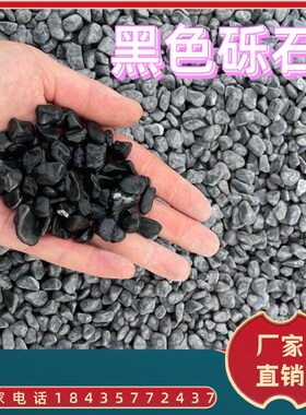 福建黑色灰色小石子黑砾石碎石日式枯山水装Q饰庭院园黑色砾石