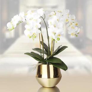 现代轻奢风格 电镀陶瓷花瓶蝴蝶兰花器样板房书房桌面花艺盆工艺品