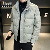 潮流时尚 啄木鸟男士 极寒羽绒棉服保暖休闲立领冬季 潮棉衣外套帅XN
