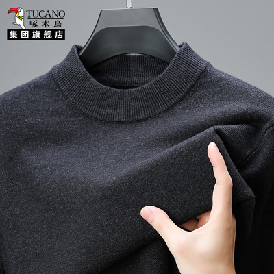 啄木鸟半高领纯色男士羊毛衫
