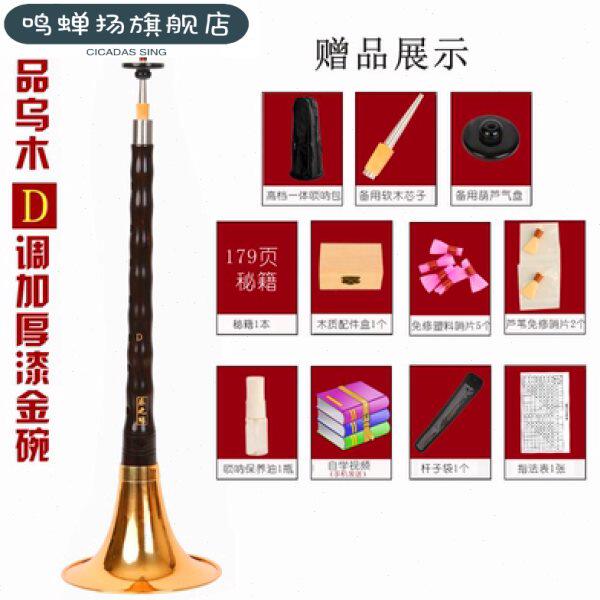 达晖侠唢呐D调d调唢呐初学者唢呐乐器全套喇叭精品D调金碗++包+竖