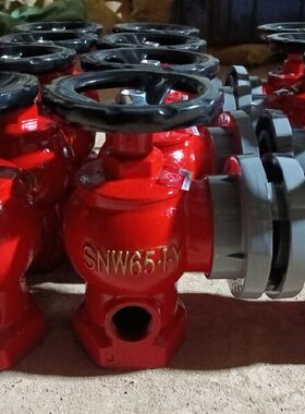 卷盘室内栓SNW65-I-Y