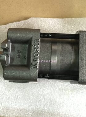 伺服齿轮泵IGP6-M125-SF IGP6-M100-SF IGP6-M080-SF节能伺服泵