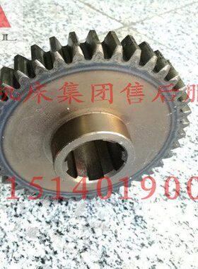 齐齐哈尔铣床X6132X5040X5032X齿轮2219齿数39原厂配套