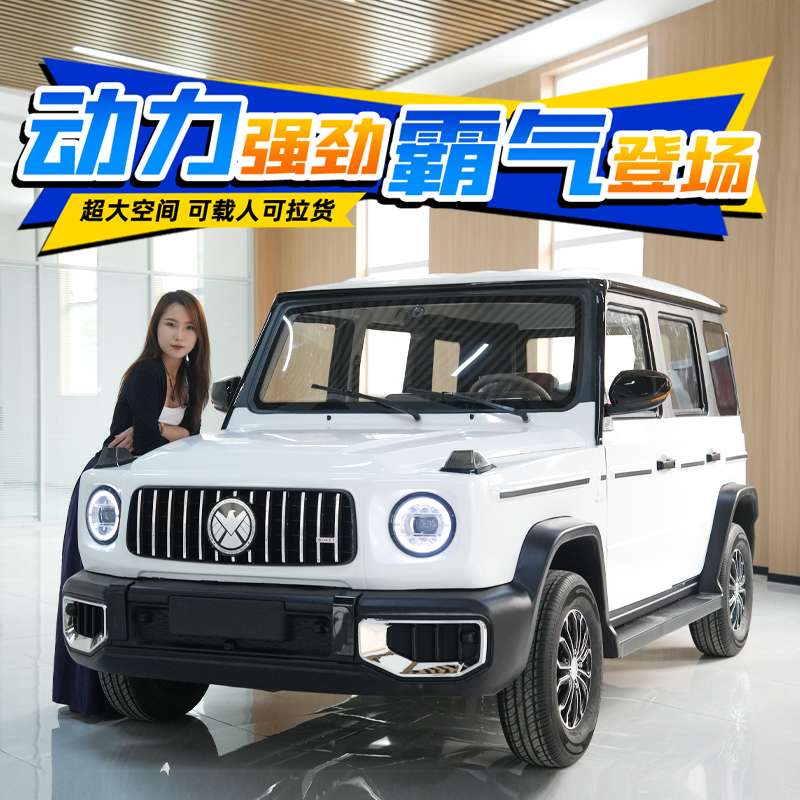 2025新款家用全封闭代步车新能源汽车油电两用电动四轮车