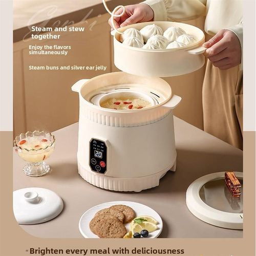 110V电炖锅家用多功能粥汤电饭煲火锅一体化锅防U水炖电饭煲陶瓷