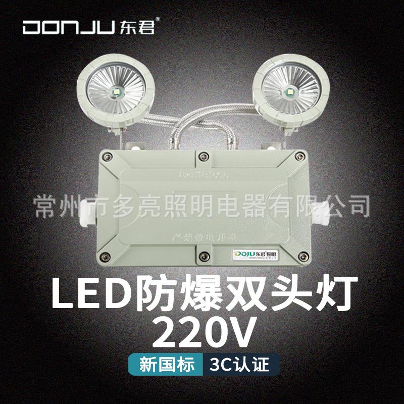 东君02I常规220v停电应急IP65疏散照明防爆双头指示灯