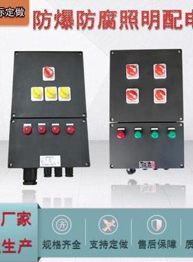 防爆防腐操作箱照明动力配电箱工程塑料按钮检修箱BXMD8050三防箱