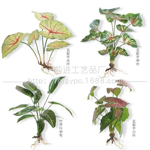 实物拍摄仿真彩叶芋仿真植物墙绿叶五彩芋假花绿化工程假树叶绿叶
