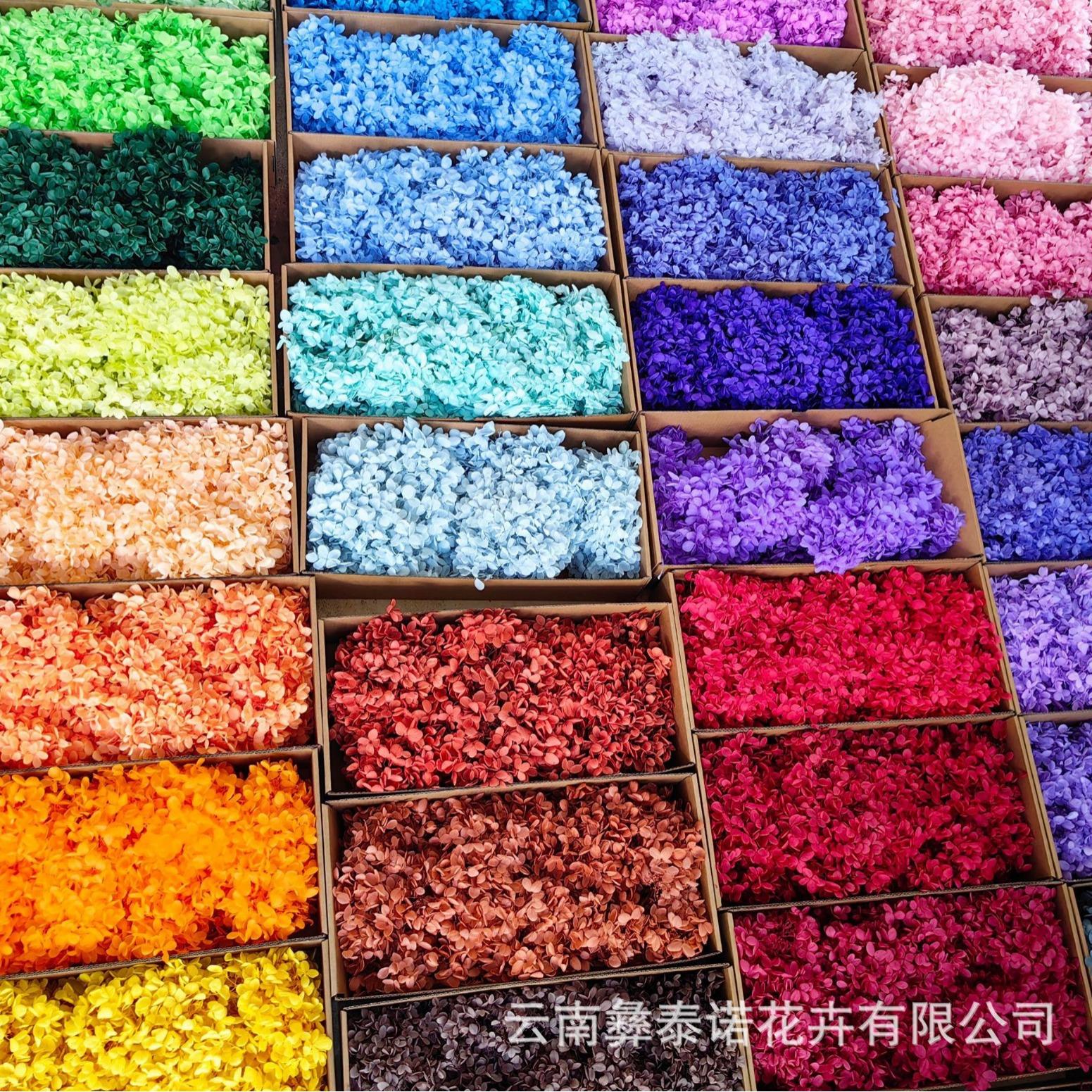 云南永生花木绣球盒装100克现货散装木绣球多色可选保鲜花