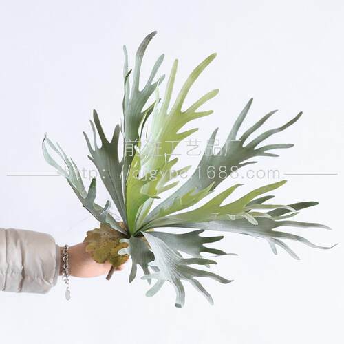 沙生植物仿真绿植鹿角叶景观造景仙人掌搭配绿叶假树叶叶子