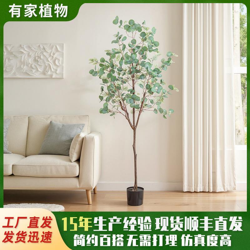 仿真绿植高级感尤加利盆栽家居室内装饰大型落地假树金钱树植物