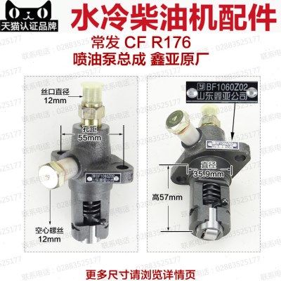 常州水冷单缸柴油机配件R175 R176 R180 6马力 8马力喷油泵总成,五金/工具,发电机组零部件,淘宝优惠券,粉丝福利购,淘宝优惠卷