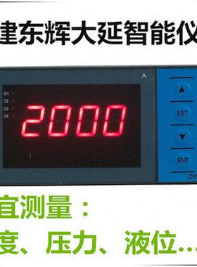 东辉仪表DY2000 DY29Z6P DY29Z0P DY21Z0P DY29Z6D DY29Z2-Pt100