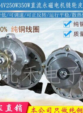12V24V250W350W减速有刷电机MY1016Z2羚鹰电动车电机尤奈特同款