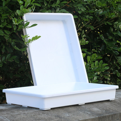 长方形多肉花盆j托盘塑料浸盆收纳周转育苗播种整理托架白色蓄水