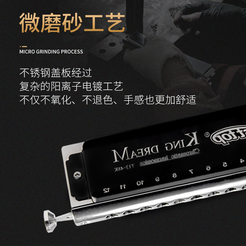 EASTTOP东方鼎T12-48Kx金色梦想者12孔半音阶练习专业演奏口琴初