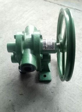 胶水齿轮泵高粘度寸j皮带白乳胶10泵1.5泵式0口齿轮泵泵-sb油漆径